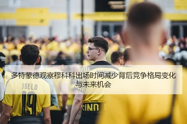 多特蒙德观察穆科科出场时间减少背后竞争格局变化与未来机会